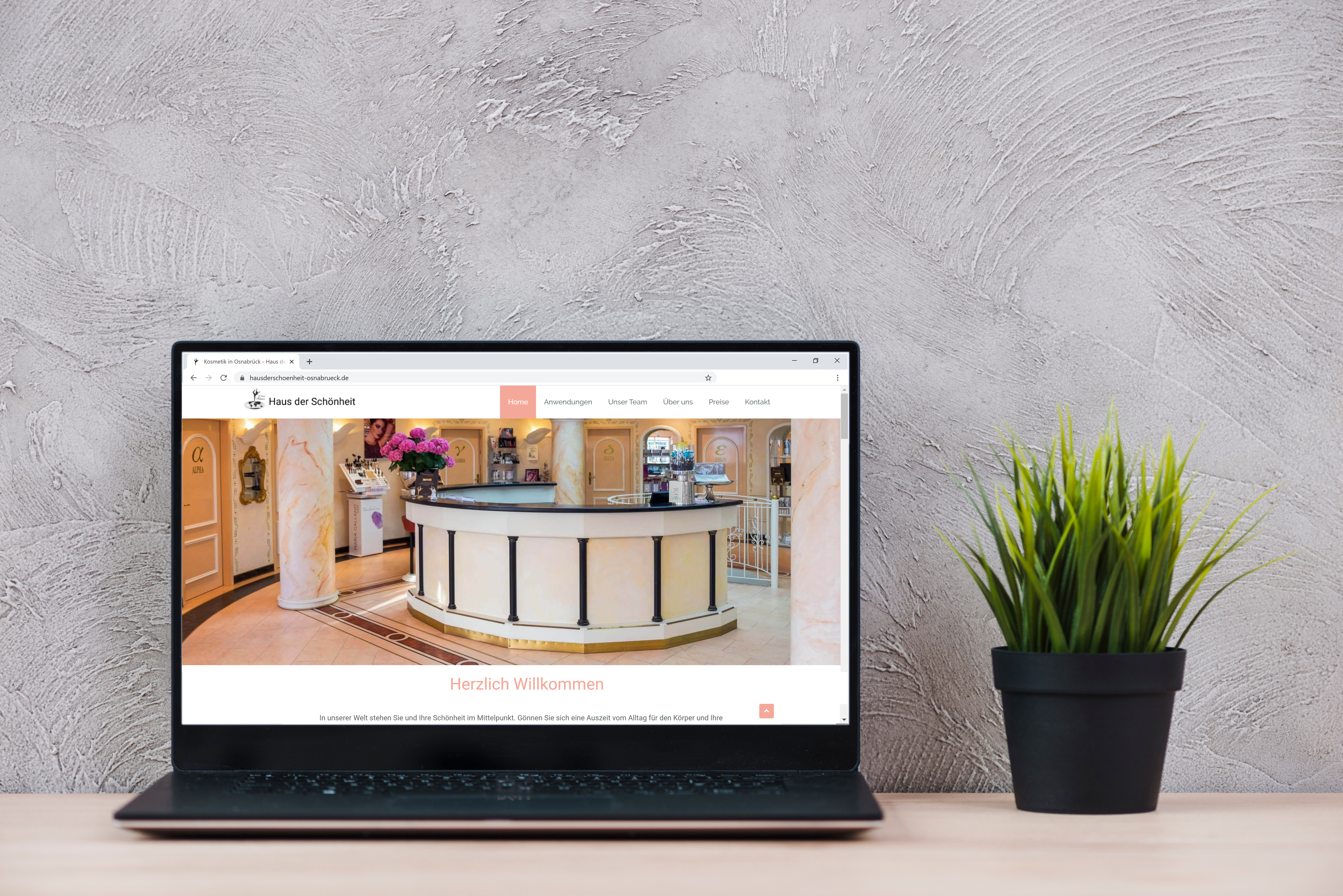 Webseiten Entwicklung Haus der Schönheit